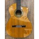 Takamine TH5C