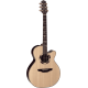 Takamine DSF48C