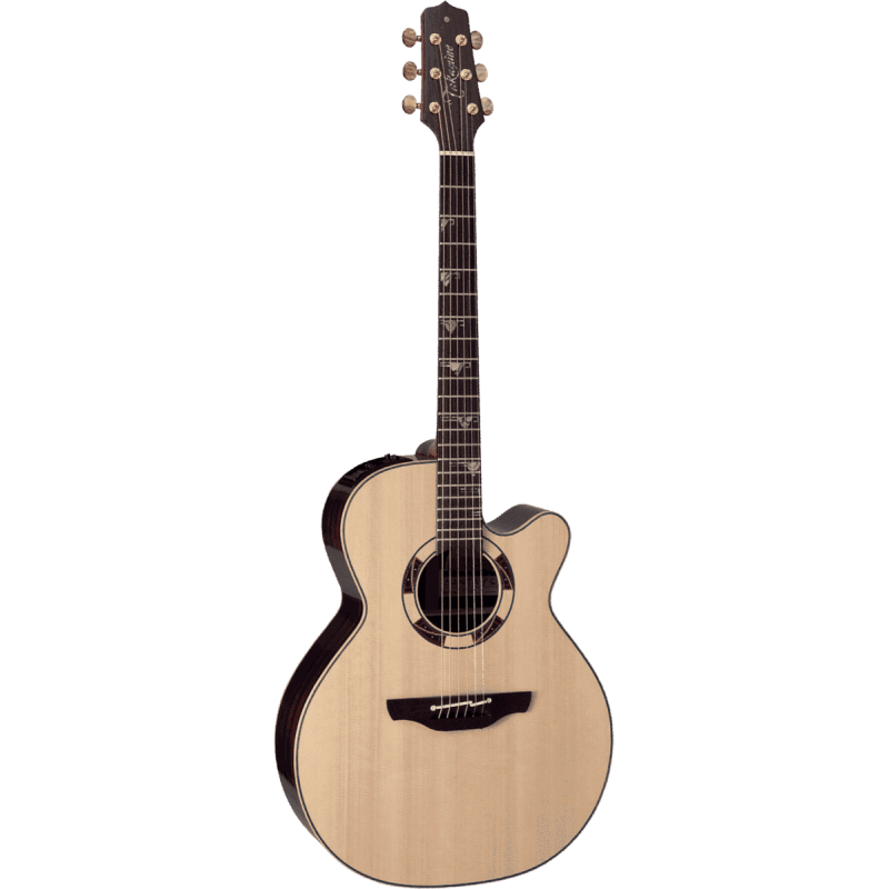 Takamine DSF48C