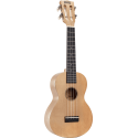 ML2-SD