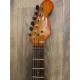 Fender Special Edition Showmaster